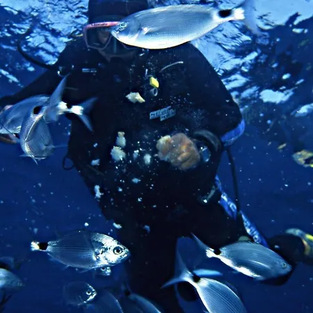 Hotel Rodriguez Capoliveri (Isola d'Elba)