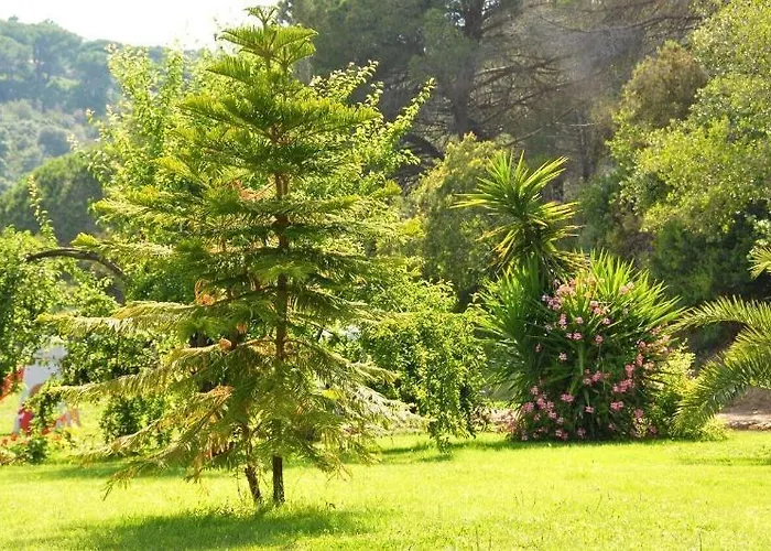 Rodriguez Hotel Capoliveri (Isola d'Elba)