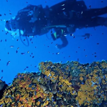 Hotel Villa Rodriguez