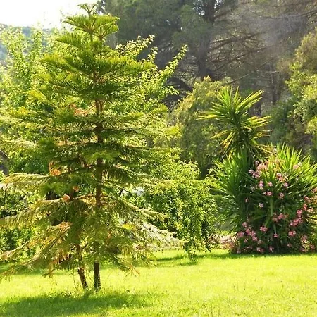 Hotel Villa Rodriguez Otel Capoliveri (Isola d'Elba)