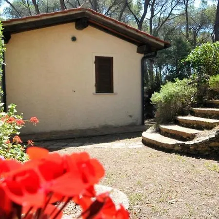 Rodriguez מלון