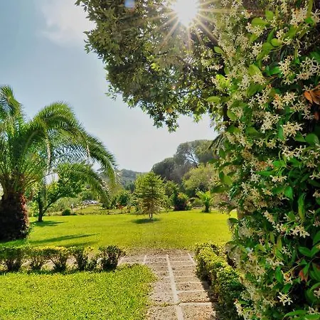 Otel Hotel Villa Rodriguez 3*