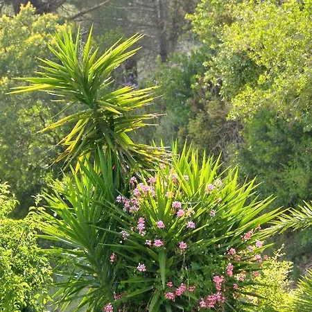 Hotel Villa Rodriguez Otel 3*