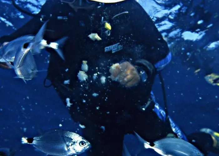 Отель Rodriguez Каполивери