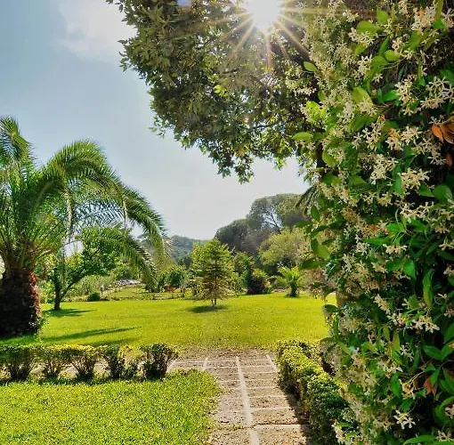 Отель Rodriguez 3*