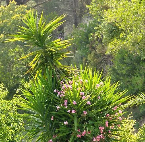 Rodriguez Отель 3*